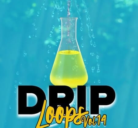 DiyMusicBiz Drip Loops Vol 14 WAV